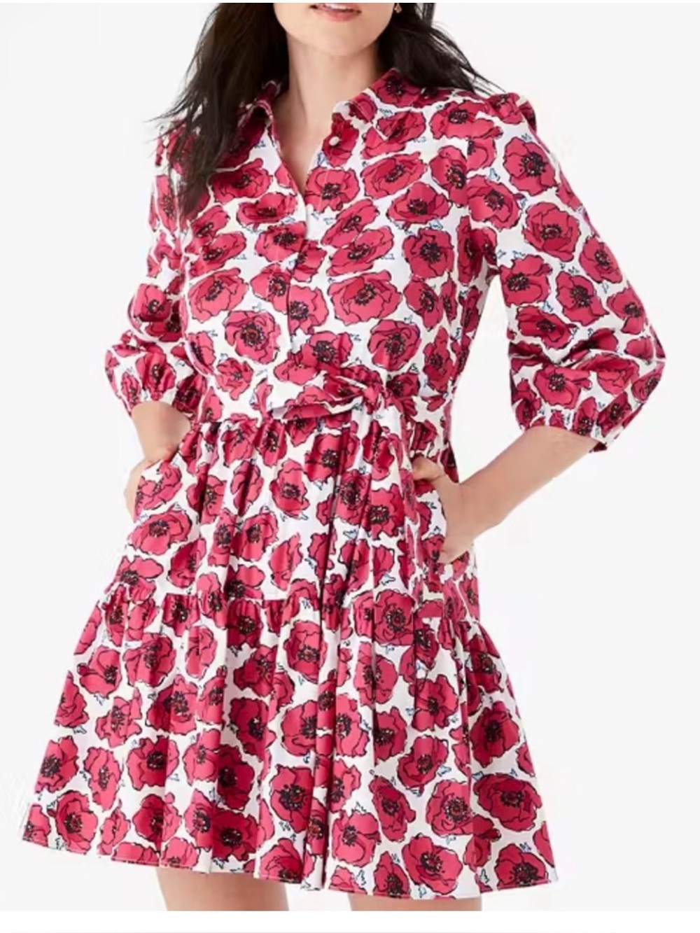 Kate Spade Poppy Toss Dress- Large
